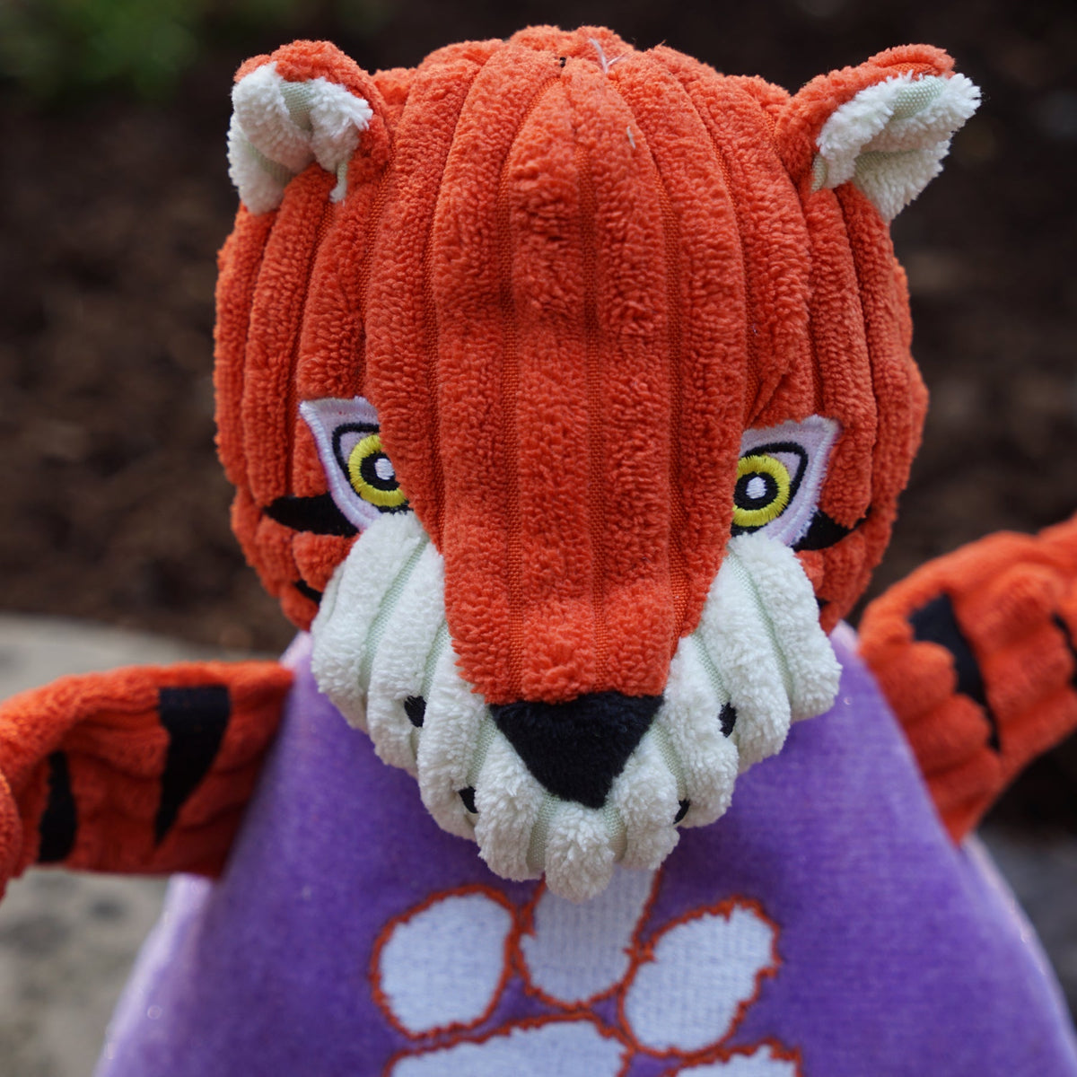 Clemson Tiger Knottie dog toy face close-up outdoors, yellow stitched eyes and white corduroy muzzle