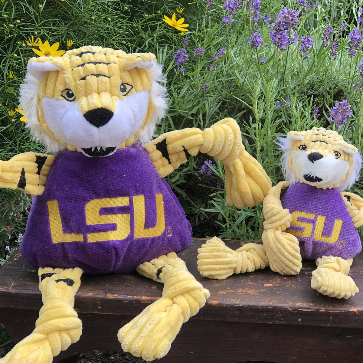 Mike the Tiger Knottie dog toy in two sizes on a wooden bench in front of lavender and yellow flowers