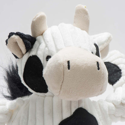 Dottie Cow Knottie close-up of the cream muzzle, stubby cream horns and fuzzy black ear