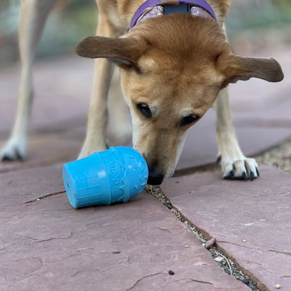 Ice Cream Cone treat toy in blue on a flagstone patio, a tan dog in a purple collar sniffing at the scoop