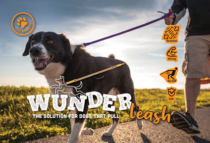 Black and white dog walking on a WUNDERleash with purple handle, WUNDERleash logo and feature icons overlaid