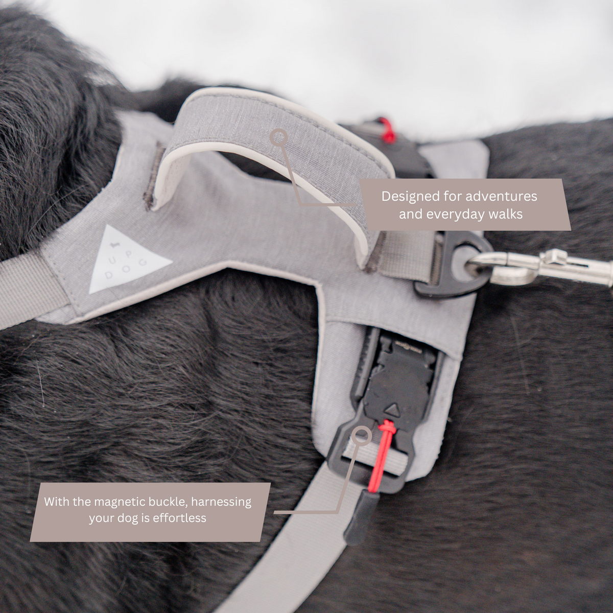 Top of a gray Up Dog harness on a black dog, showing the padded handle, leash clip, and magnetic buckle