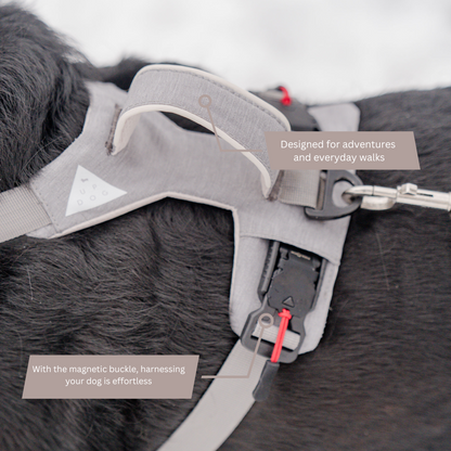 Top of a gray Up Dog harness on a black dog, showing the padded handle, leash clip, and magnetic buckle