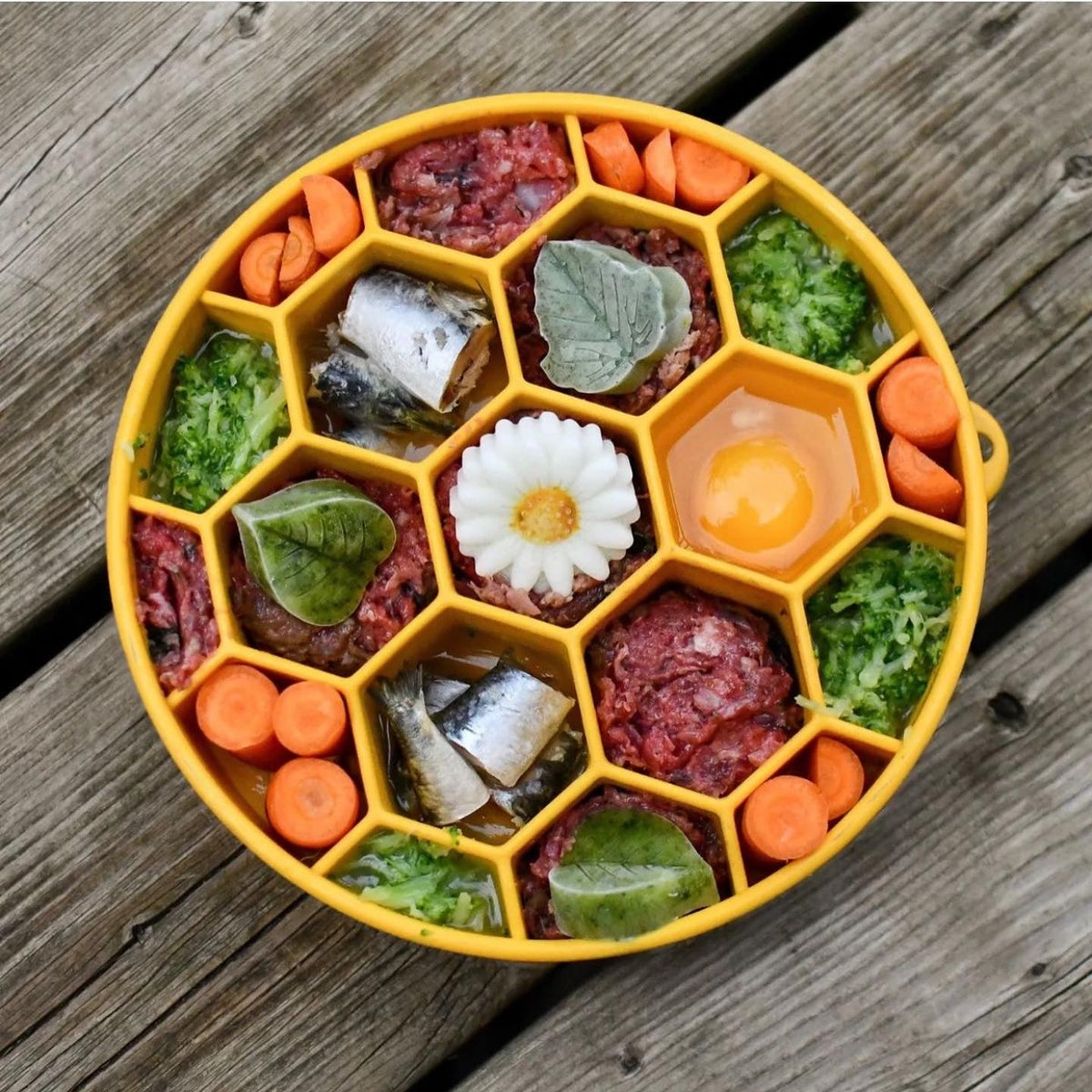 Yellow SodaPup Honeycomb eBowl filled with raw meat, sardines, carrot slices, greens, and an egg yolk in separate cells