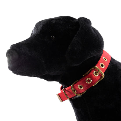 Seatbelt webbing dog collar in red, buckled on a black plush dog model