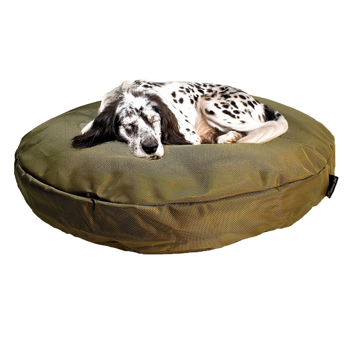 English setter asleep on the camel Round Armor round dog bed