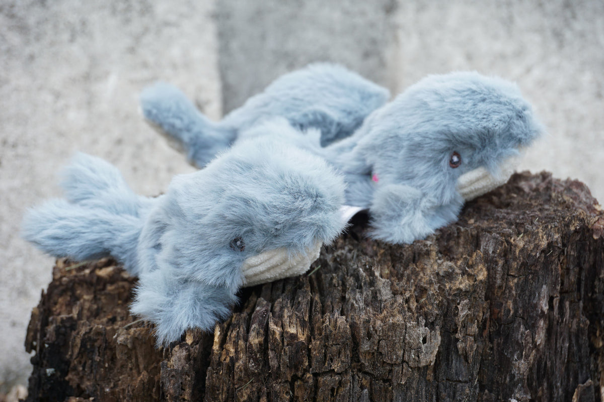 Mobie Whale Wee Huggles plush dog toys lying together on a weathered tree stump outdoors