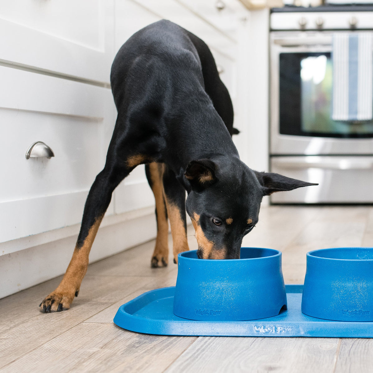 Non-Slip Placemat in blue holding two matching West Paw bowls (sold separately) as a black and tan dog eats
