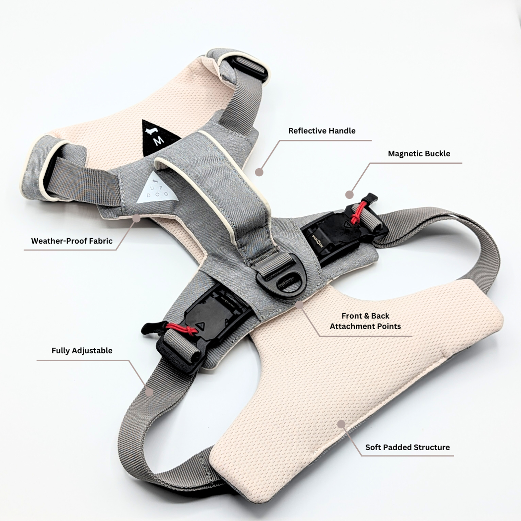 Gray Up Dog magnetic buckle harness laid flat with labels for the handle, buckles, and front and back clips
