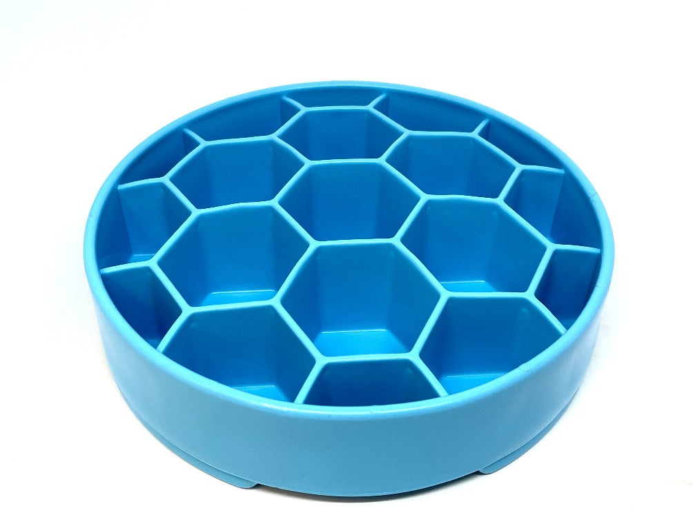Empty blue SodaPup Honeycomb eBowl from an angle above, showing the depth of each hexagon cell