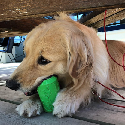Golden retriever lying on a wooden deck chewing a green SodaPup Can Toy
