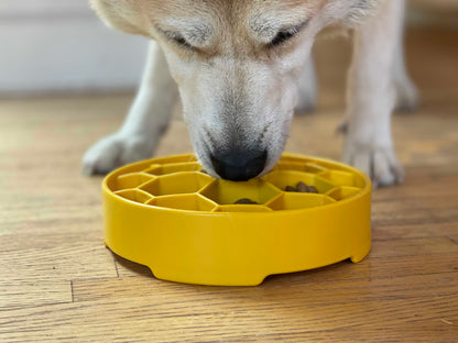 Cream-colored dog nosing kibble out of a yellow SodaPup Honeycomb eBowl, front view