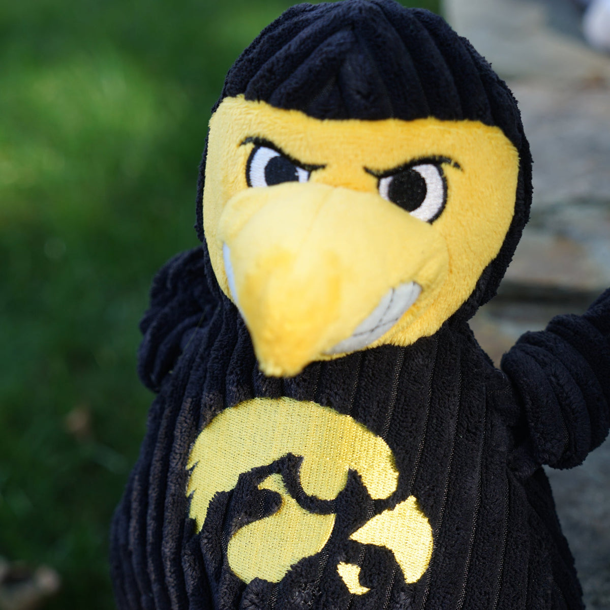 Herky the Hawk Knottie dog toy close-up outdoors, gold face and beak over the gold Tigerhawk
