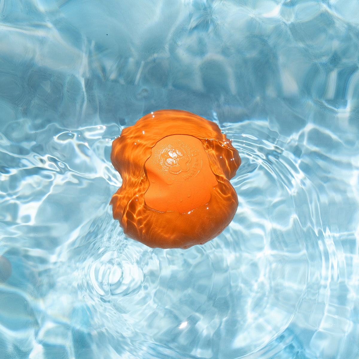 Tangerine Jive ball floating in clear pool water, top view