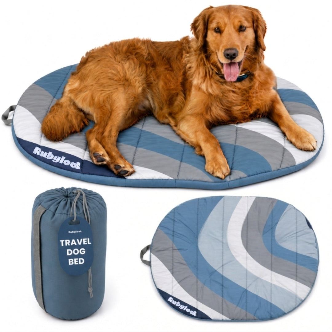 Packable travel dog bed in Glacier Tide Blue, Medium, blue, gray and white waves under a golden retriever