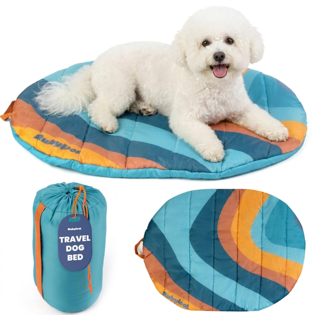 Rubyloo packable travel dog bed in Sunset Surf Teal, Small, with a bichon lying on it, its carry sack and the flat pad