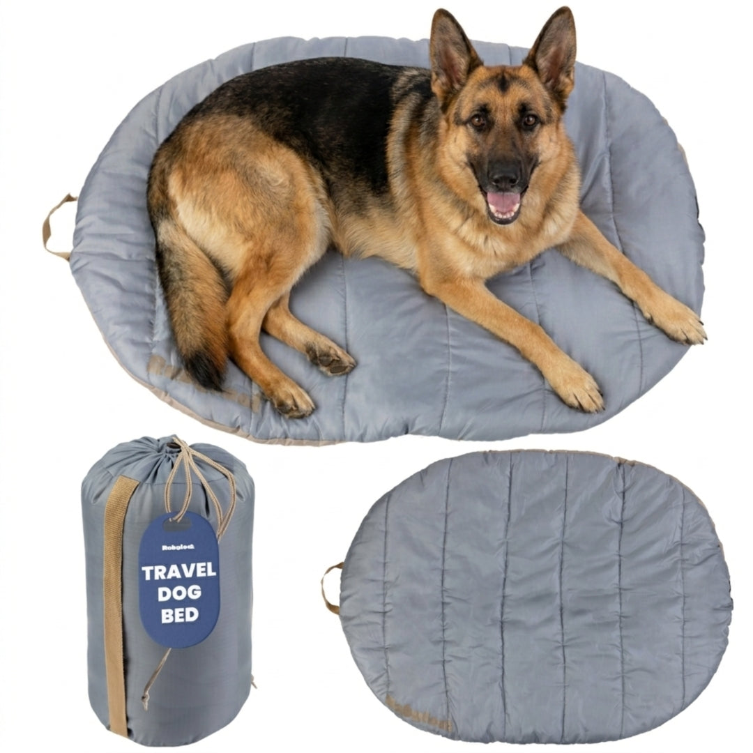 Packable travel dog bed in Foggy Trail Grey, Large, with a German shepherd stretched out on the quilted pad