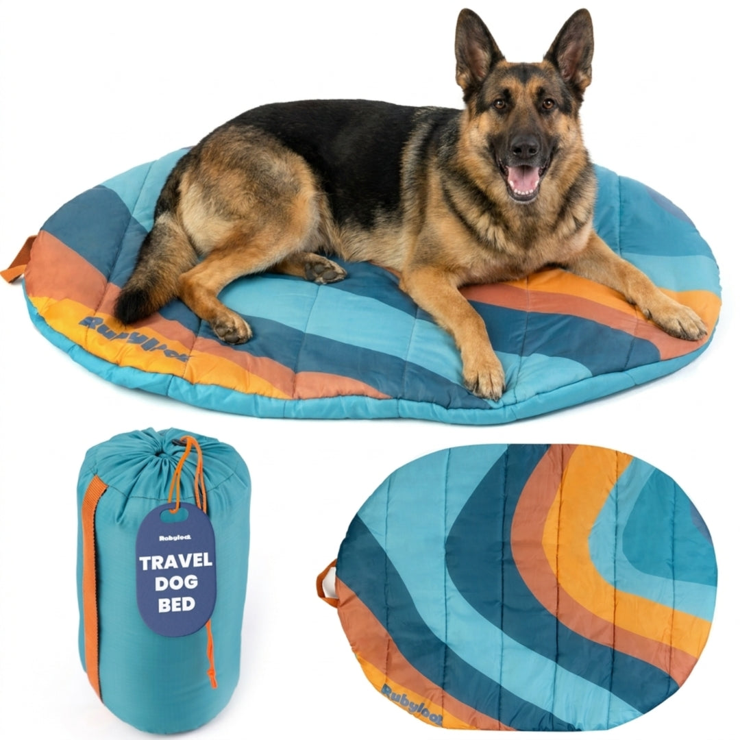 Packable travel dog bed in Sunset Surf Teal, Large, with a German shepherd lying on its teal and orange waves