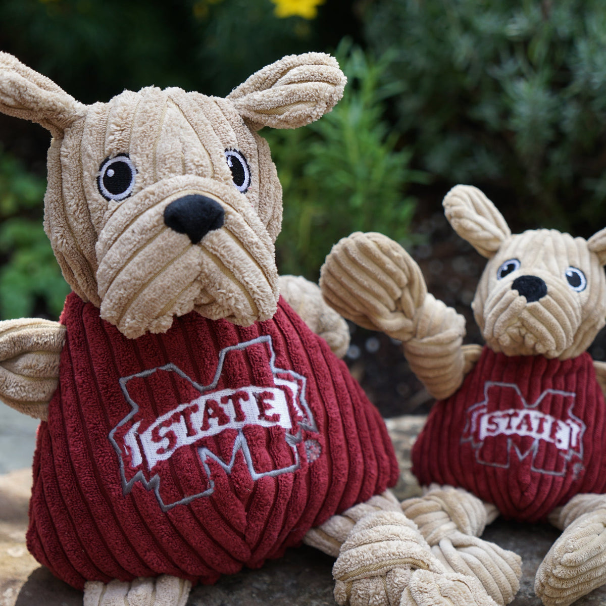 Bully Knottie dog toy in two sizes outdoors, close-up of the jowly face, black nose and M-State shirt
