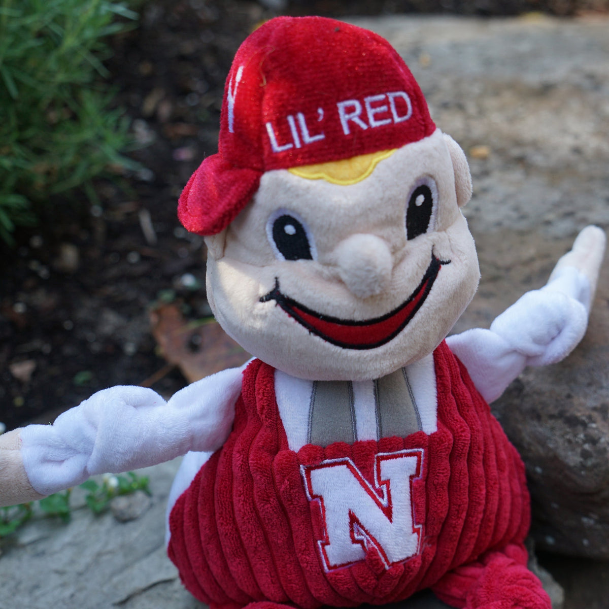Lil Red Knottie dog toy close-up on a garden rock, grinning face under the red LIL' RED cap
