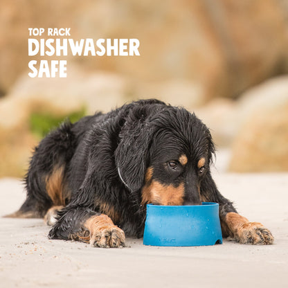 Wet black and tan dog lying on the sand drinking from a marine blue West Paw Non-Slip Bowl, captioned dishwasher safe