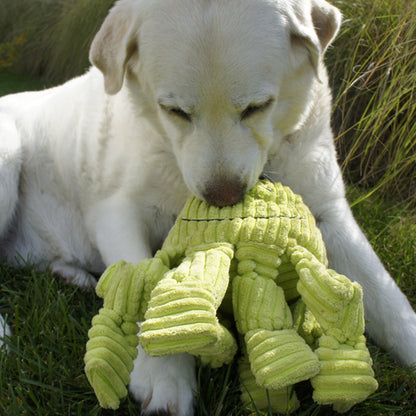 Octavie Octopus Knottie dog toy in lime green between the paws of a yellow Labrador lying on the grass