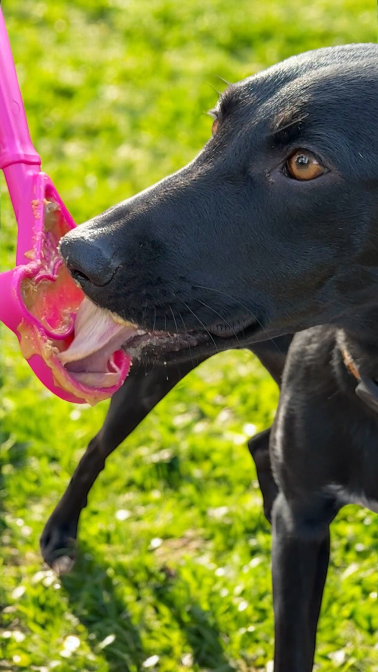 eStick in the pink ice cream cone design, close-up of a black dog licking a spread off it in the grass