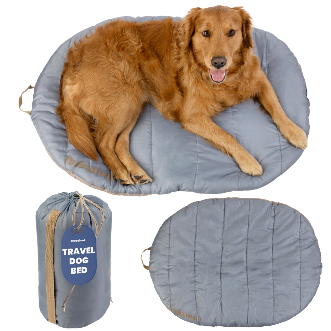 Packable travel dog bed in Foggy Trail Grey, Medium, a golden retriever lying on the quilted gray pad
