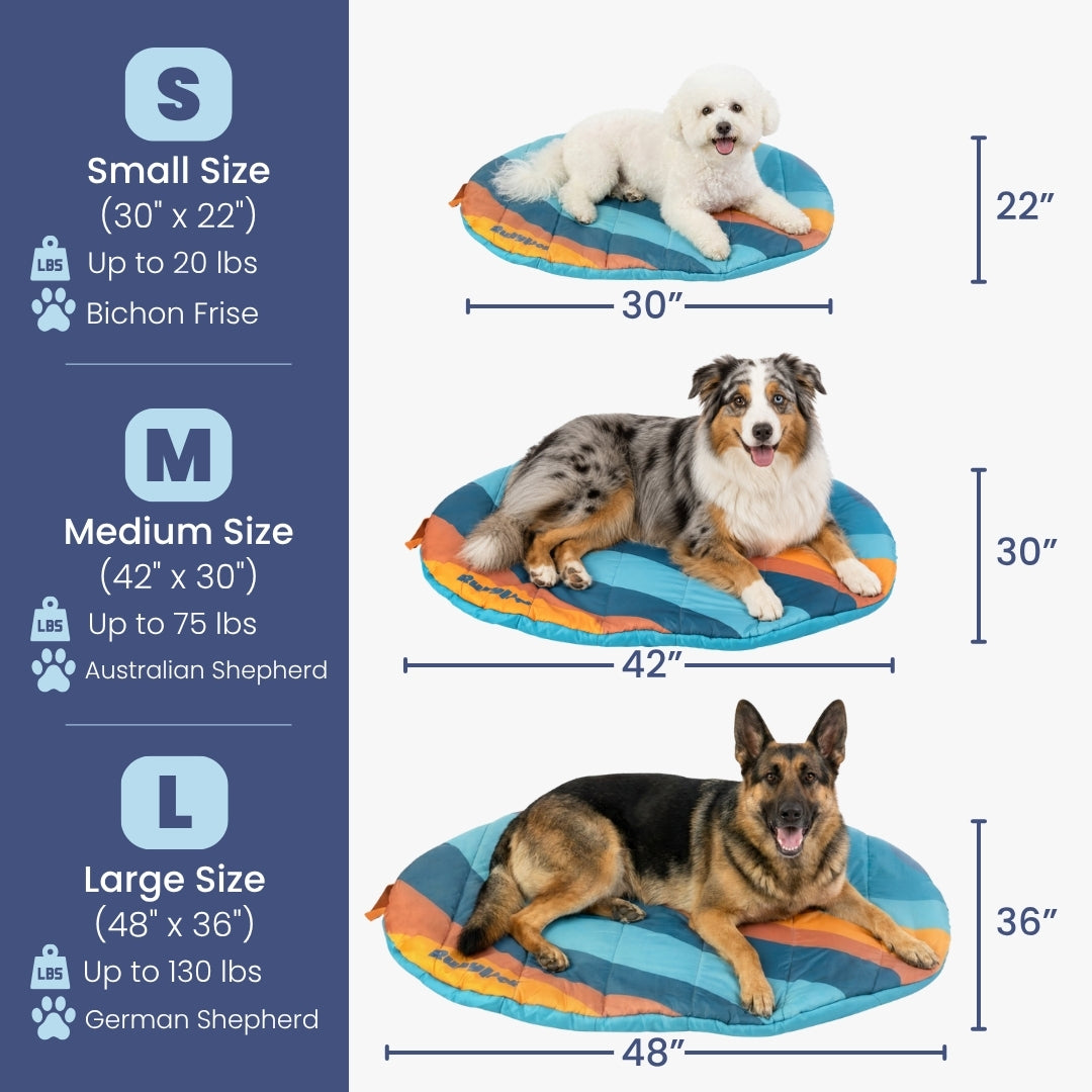 Packable travel dog bed size chart: Small 30 x 22 in, Medium 42 x 30 in and Large 48 x 36 in, each shown with a dog