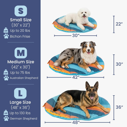 Packable travel dog bed size chart: Small 30 x 22 in, Medium 42 x 30 in and Large 48 x 36 in, each shown with a dog