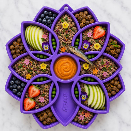 Purple SodaPup Mandala eTray filled with ground food, blueberries, apple slices, strawberries, and a sardine