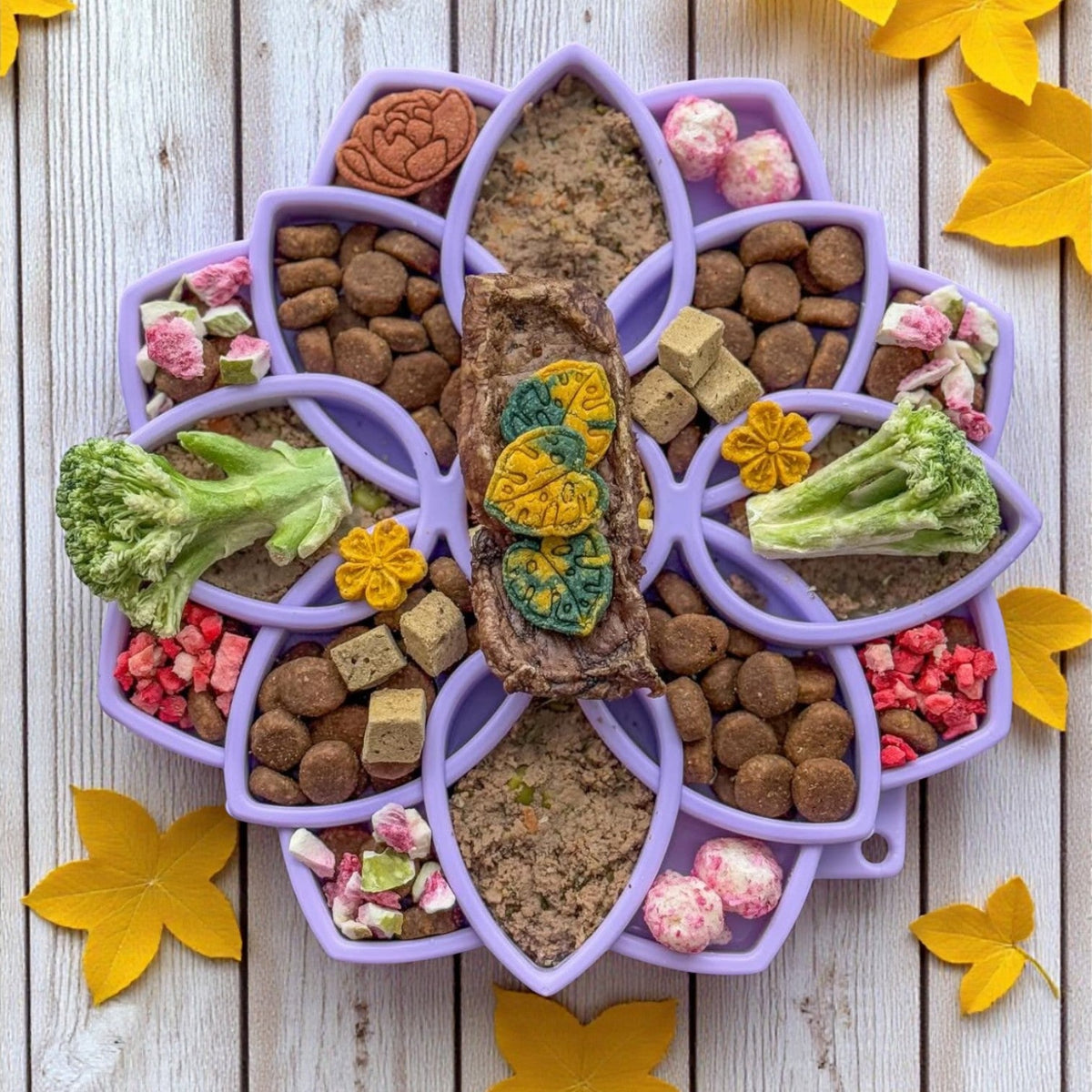 SodaPup Mandala Softie eTray in pastel purple filled with kibble, wet food, broccoli and small treats, top view