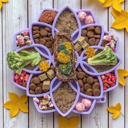 SodaPup Mandala Softie eTray in pastel purple filled with kibble, wet food, broccoli and small treats, top view