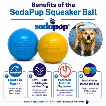 SodaPup Squeak Ball feature graphic with light blue and yellow balls, noting it floats and the squeaker is fixed inside