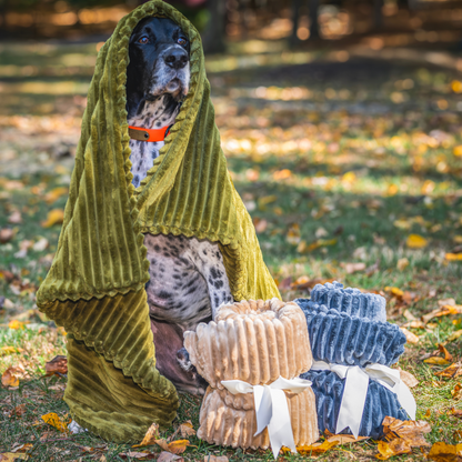 Spotted black and white dog wrapped in the olive Scout Blankie outdoors, khaki and steel blue blankets rolled beside it