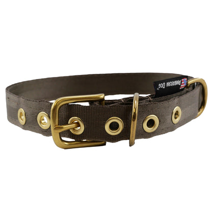 Seatbelt webbing dog collar in coyote, a tan brown, with brass buckle and grommets, front view