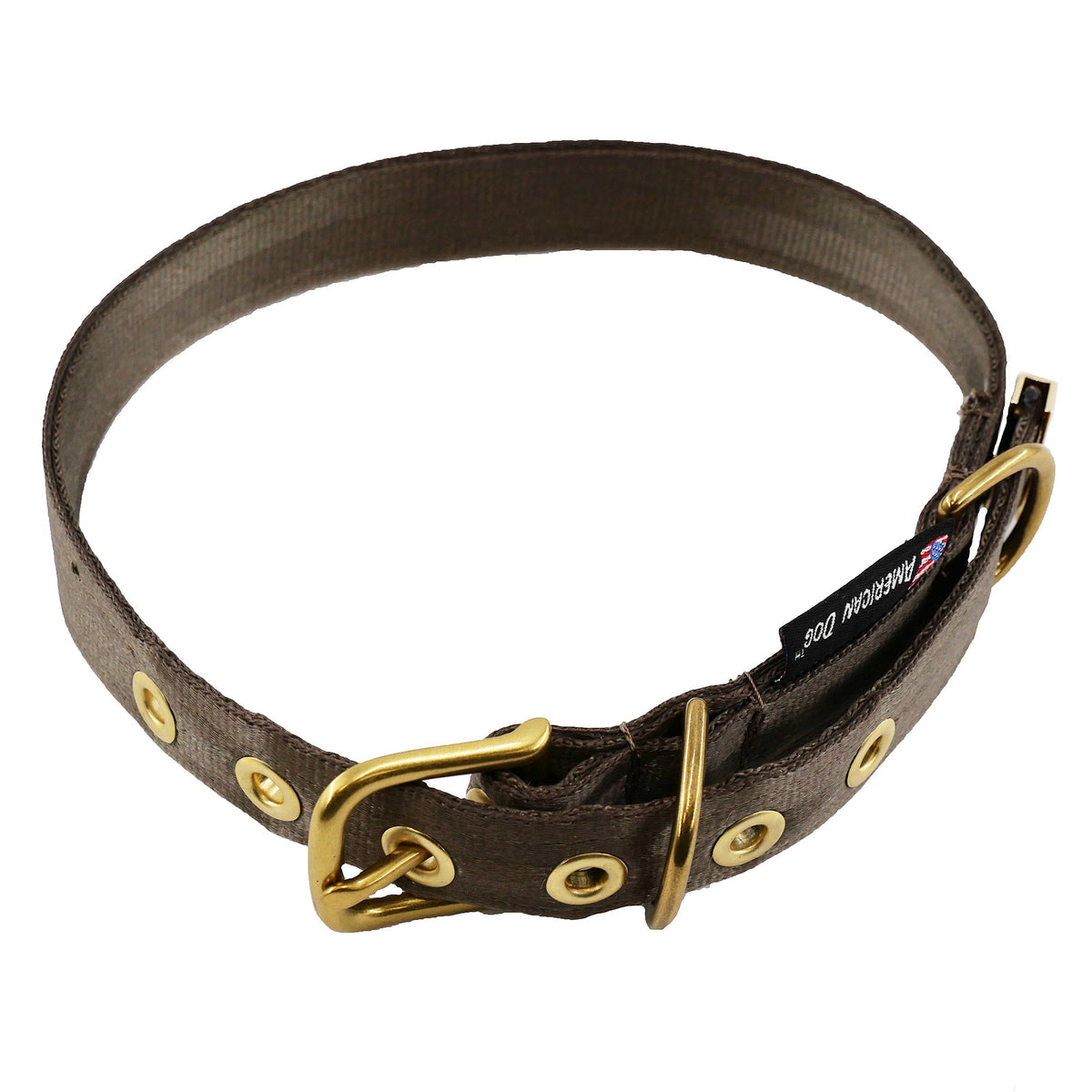 Seatbelt webbing dog collar in coyote brown seen from above, showing the full loop of webbing