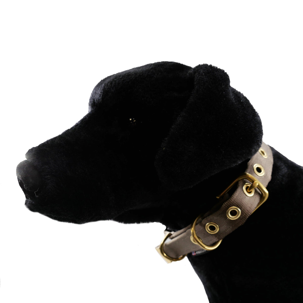 Seatbelt webbing dog collar in coyote brown, buckled on a black plush dog model