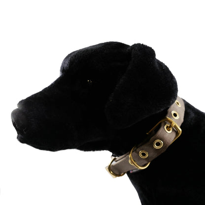 Seatbelt webbing dog collar in coyote brown, buckled on a black plush dog model