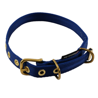 Seatbelt webbing dog collar in navy seen from above, showing the full loop of webbing