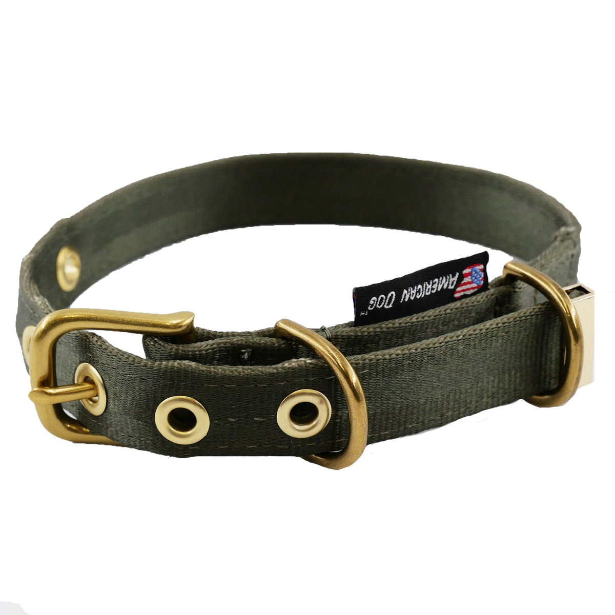 Seatbelt webbing dog collar in olive green with brass buckle and grommets, angled view