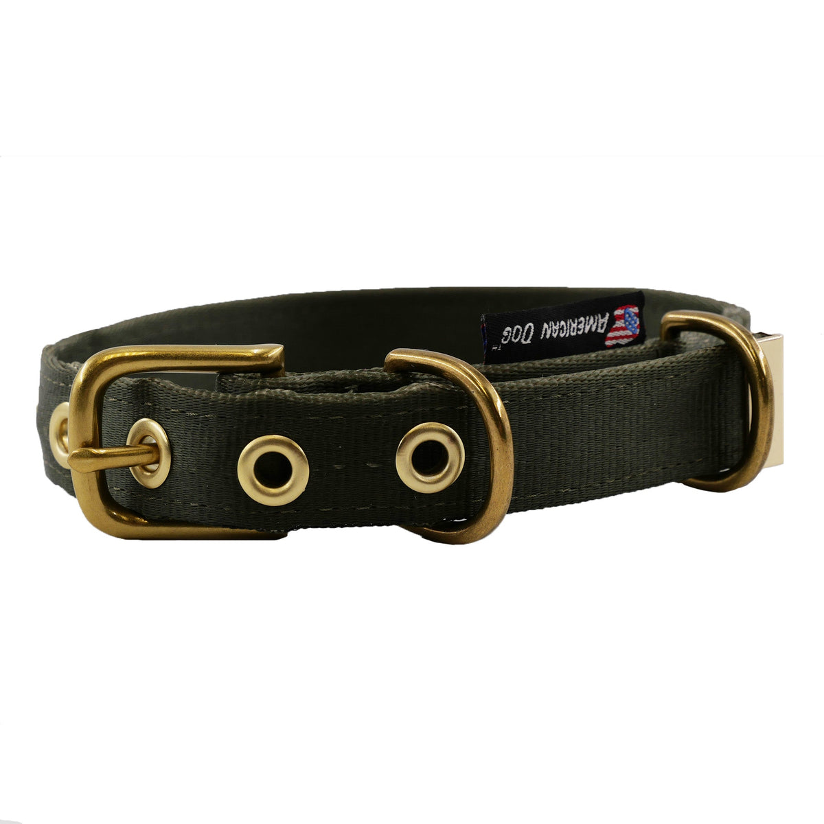 Seatbelt webbing dog collar in olive green, front view of the brass buckle and American Dog tag