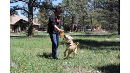 SodaPup Pop Top Rubber Tug Toy held out by a woman as a tan dog jumps up to grab it in a pine-shaded yard