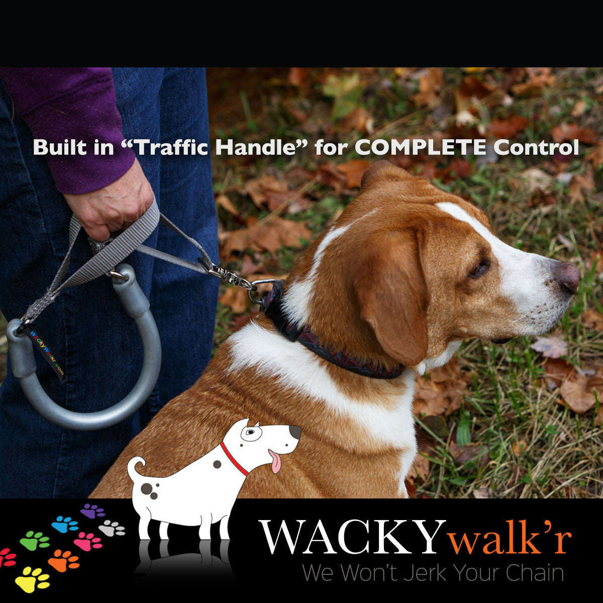 Urban Walk'r Short Stretch Leash in silver, a hand on the traffic handle by the clip, brown and white hound sitting close