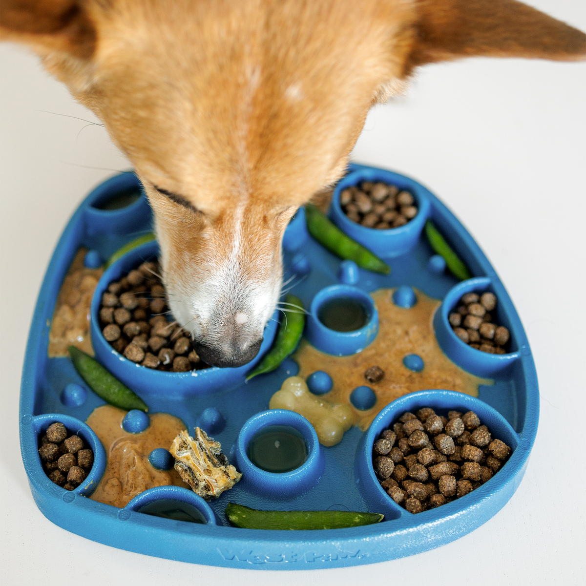Tan dog eating from a marine blue Bubbles Feast Mat filled with kibble, wet food, and green beans