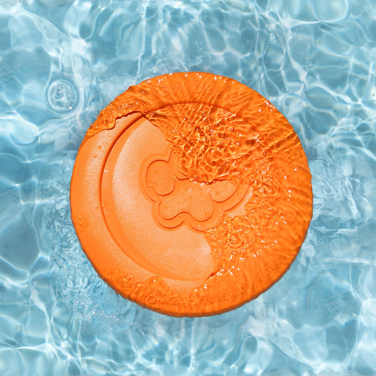 Tangerine West Paw Zisc flying disc floating on the surface of sunlit pool water, top view