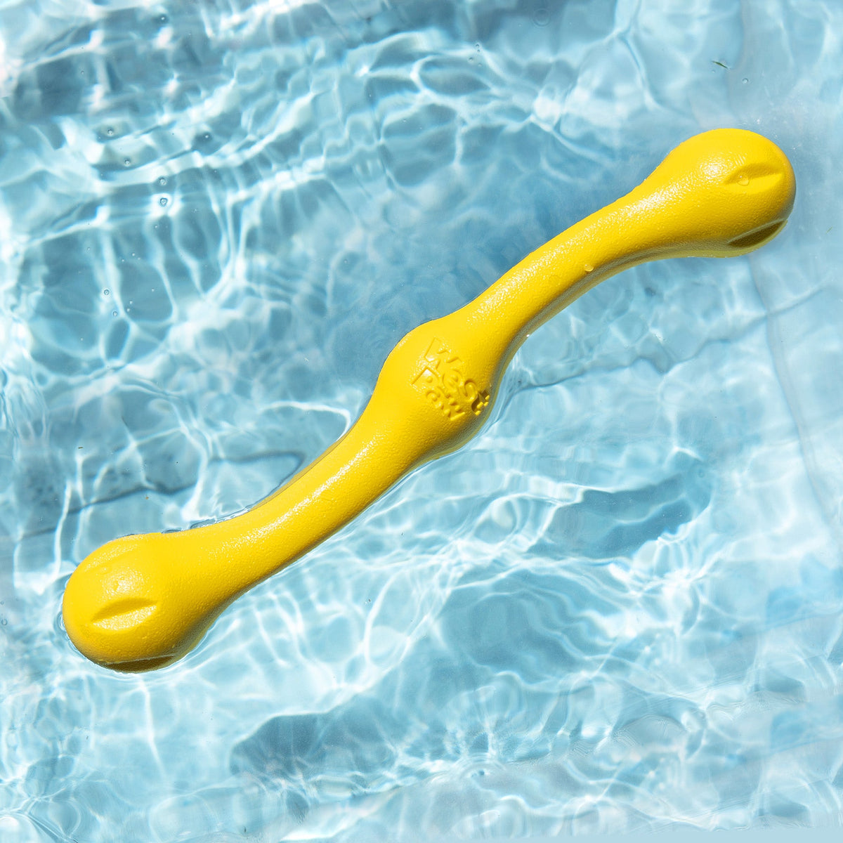 Zwig fetch stick in dandelion yellow floating on rippling pool water