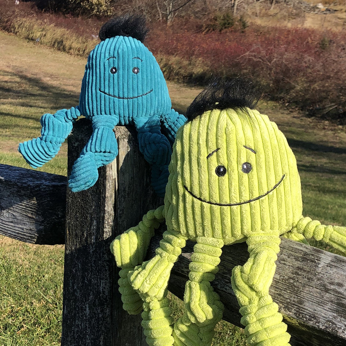 Octavie Octopus Knottie dog toys in teal and lime green perched on a wooden fence post in the sun