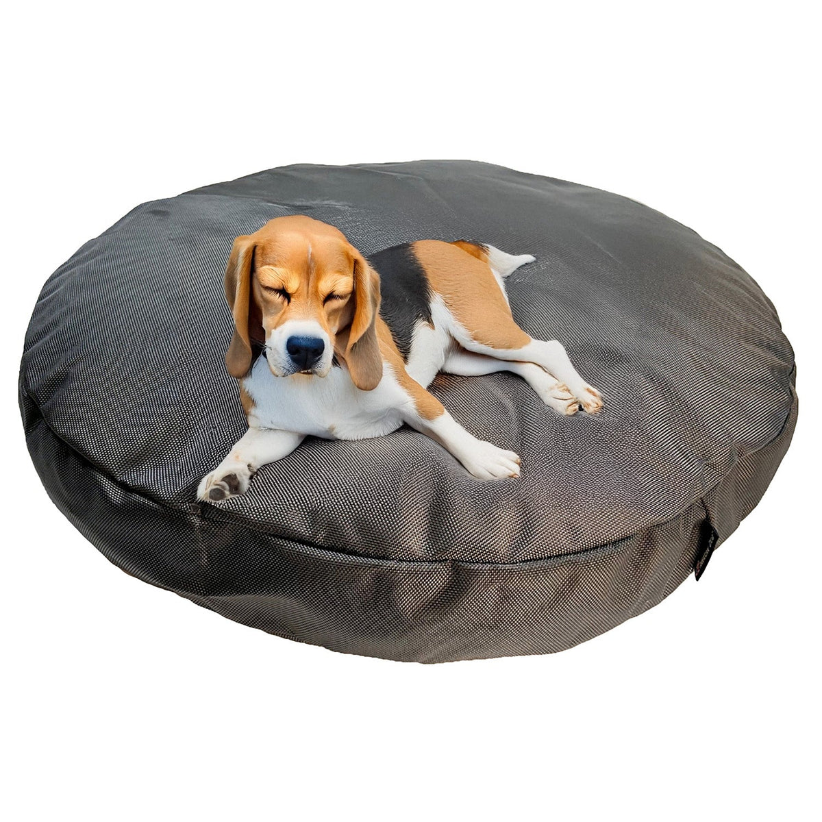 Beagle lying on the charcoal Round Armor round dog bed