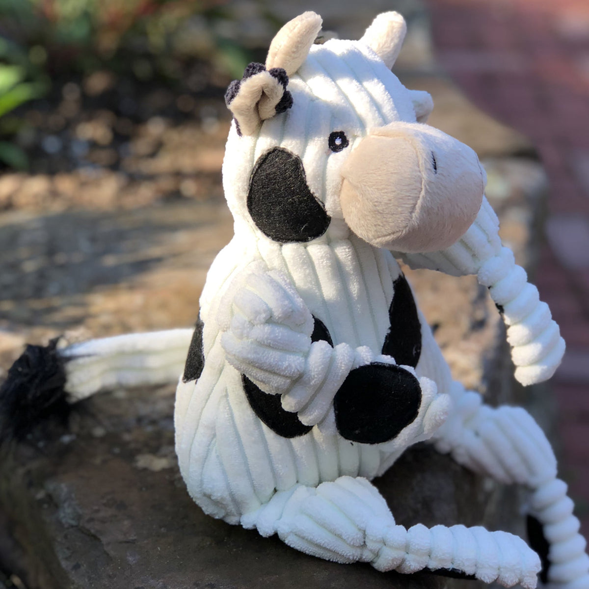 Dottie Cow Knottie dog toy sitting on a stone ledge outdoors, cream muzzle turned to the side